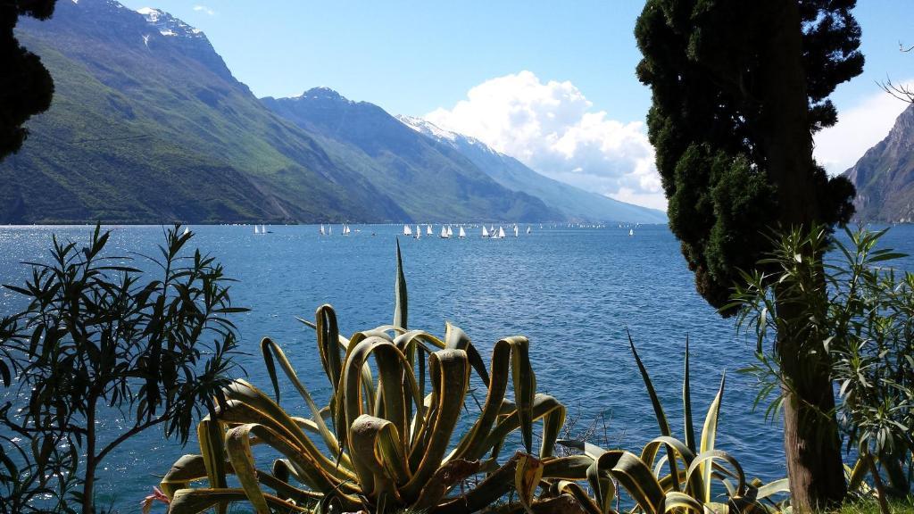 Hotel Angelini Torbole Sul Garda Eksteriør billede
